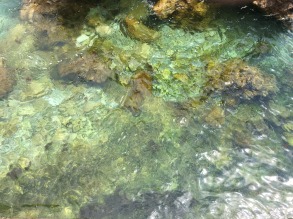 Green sea rocks, Cascais.